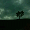 Злые анимированные аватарки