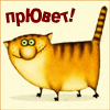 Анимированные аватарки животные